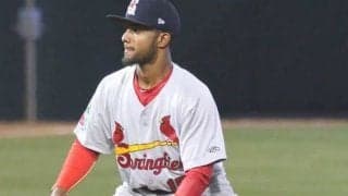 九州独立L・火の国がマイナー通算111盗塁のアルバレス獲得　「全力を尽くします」