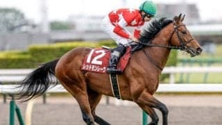 エアグルーヴ牝系×キンカメ系の黄金配合から重賞馬再び 今後は短距離戦線での活躍も