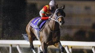 【平安S想定騎手】グロリアムンディは川田将雅騎手、ハギノアレグリアスは岩田望来騎手