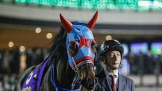 【平安S展望】帝王賞に繋がる一戦、距離延長組は苦戦傾向