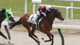 【新潟4R】エピファネイア産駒 パスカリが断然人気に応える