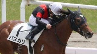 【新潟4R】菱田「もう一度ファイトしてくれた」パスカリが初勝利