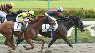 【東京6R】フェノーメノ産駒 アコークローが人気に応える