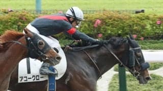 【東京6R】ルメール「東京の長い距離合っている」フェノーメノ産駒、アコークローが快勝