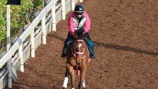 カリンバの2021(チェレスタ)など、先週のゲート試験/栗東トレセンニュース