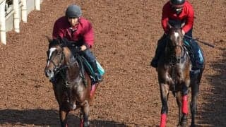 アドマイヤリードの2021(キャプテンシー)など、先週の入厩情報/栗東トレセンニュース