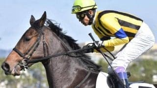 武豊騎手がオークス勝てば27年ぶり 伸びシロはたっぷりのソーダズリングで参戦