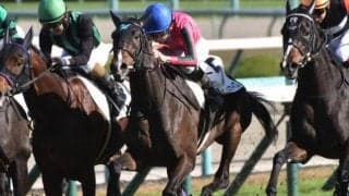 ハープスターを退けたヌーヴォレコルトの仔 14年オークスの再現狙う