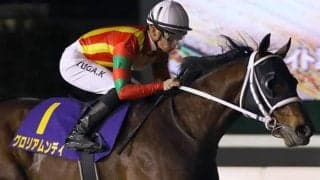 【平安S予想オッズ】グロリアムンディが予想1番人気