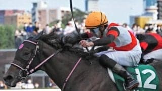 斎藤新騎手がクラシック初挑戦 コンビ再結成のドゥーラで一発狙う