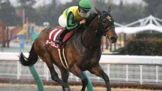 21年の東海S・平安S覇者 新天地で復活なるか/川崎マイラーズ注目馬