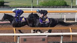 フリームファクシ、日本ダービー1週前追い切り速報/栗東トレセンニュース