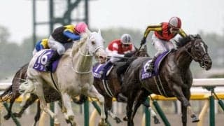 ソングラインやジャックドールなど豪華メンバー集結 安田記念出走想定馬19頭