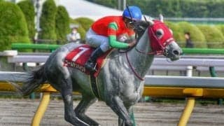東京芝2400mはゴールドシップ牝駒の“十八番” フローラS覇者が父に樫2勝目を届けるか