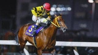 【川崎・川崎マイラーズ結果】アイウォールが逃げ切って重賞初制覇！