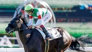 【オークス予想】AIが指名したのは妙味ある超良血馬！ 評価のポイントとは？