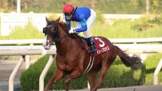 19年の兵庫GT覇者デュープロセスが登録抹消 今後は地方競馬に移籍へ