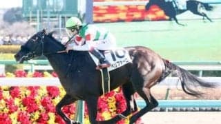 「１強ムード」のオークスで気になる良血馬２頭 デビュー３戦目での制覇が期待される、名牝の血を引く馬も