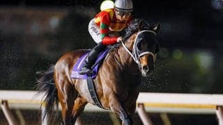 【平安S出走馬・騎手確定】グロリアムンディ＆川田将雅騎手、ハギノアレグリアス＆岩田望来騎手など16頭