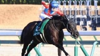 キズナ産駒は2桁着順からの一変Vが大得意 オークスで超伏兵が巻き返すか