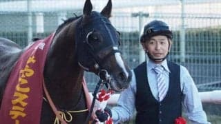 平安Sは中京でも京都でもエーピーインディ系が超好成績！ 今年は3頭がエントリー