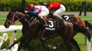 3年ぶり京都開催の鳳雛S ジャパンダートダービーとの見逃せない関連性