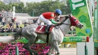 オークスには高確率の穴馬の法則がある 加えて注意すべきは桜花賞で惨敗した実力馬とルメール騎手の騎乗馬