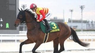 【平安S予想】6歳以上は苦戦傾向!? 人気馬も該当する年齢という壁