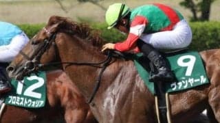 馬場傾向から土曜日に狙いたい3頭 先行馬揃った平安Sはしまい確実なヴァンヤールに期待