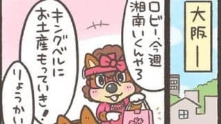 【Ｊりーぐ ぷれびゅーしょー】　第28回