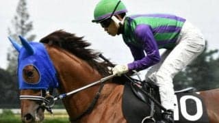 左回り巧者のアイコンテーラー メイSで好配の使者となるか