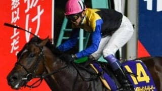 中央の右回りはベスト舞台 平安Sでノットゥルノが真価発揮だ