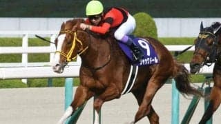ジャックドールやセリフォスなどGI馬10頭集結 安田記念出走想定馬21頭