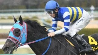 ビッグシーザーやモズメイメイなど 葵S出走想定馬27頭