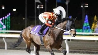 【平安S予想】帝王賞に向けての前哨戦 今年は先行馬が揃って展開面が鍵に