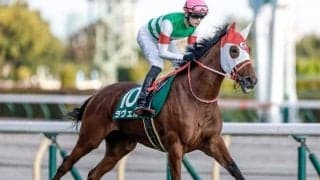 【オークス予想】有力馬「12頭」の馬体解説！ リバティアイランドを負かしうる魅力の穴馬とは