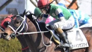 土曜京都6Rはハイインザスカイ 1200mへの距離短縮で巻き返しだ