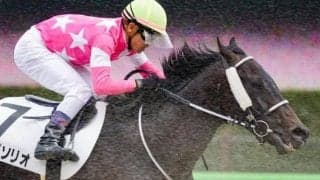 末脚自慢のビップソリオ 実績ある東京コースで差し切り狙う