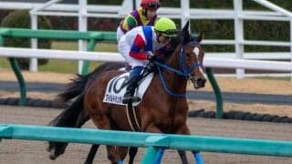 【東京3R】単勝229.1倍のワイルドハンターが勝利 前走2.1差の6着から巻き返し