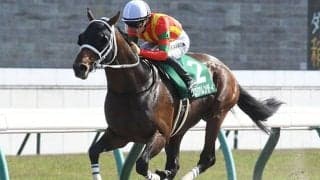 【平安S結果】1番人気のグロリアムンディが重賞連勝