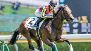 【オークス前日オッズ】リバティアイランドが1.4倍で1番人気