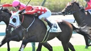 【日曜新潟5R予想】7、11、8、4人気が馬券に 好調ゴールドシップ産駒を狙い撃ち