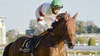 竹之下智昭騎手が20日をもって引退 「ダービーに乗せてもらえたことは最高の思い出」