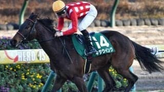 馬場傾向から日曜に狙いたい3頭 オークスは伏兵のイン差しに期待