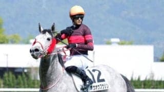 【是政特別予想】距離延長は大歓迎 持久力が要求される舞台で巻き返す