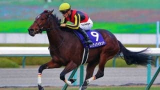 【オークス】牝馬二冠へ向け…リバティアイランドは3枠5番へ