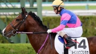 【火打山特別】坂路で好時計連発 メイショウフジタカのポン駆けだ