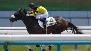 【京都6R】アジアエクスプレス産駒 ドンアミティエが9馬身差圧勝