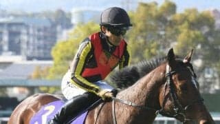 【オークス予想】スタミナと底力が試される牝馬クラシック2戦目
