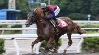 【高知・山桃特別】ユメノホノオが7連勝…吉原「良い感じで高知優駿に」